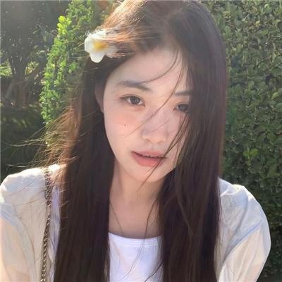 龟女士的奥德赛