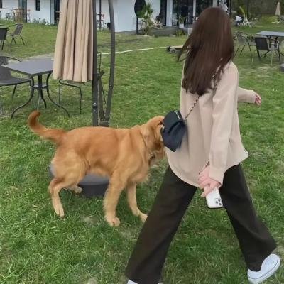 迷人的图画